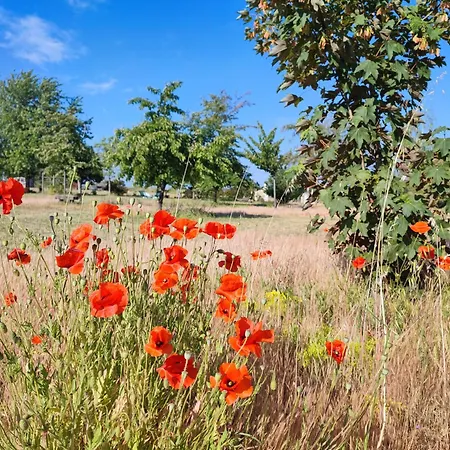 Le Clos Champetre Longué