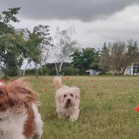 Le Clos Champetre Longué
