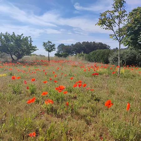 Alojamento de Acomodação e Pequeno-almoço Le Clos Champetre Longue