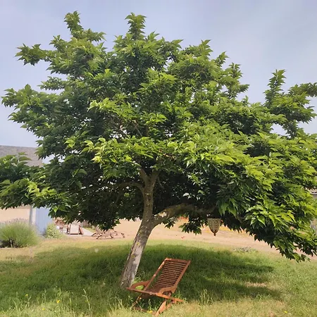 Le Clos Champetre Longué