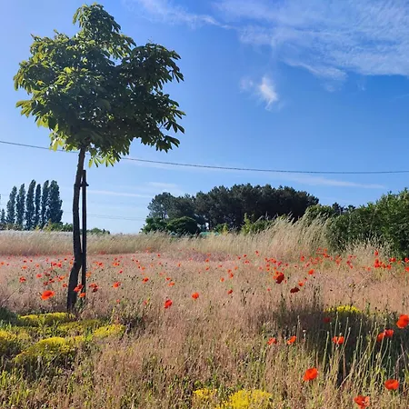 Le Clos Champetre Longué