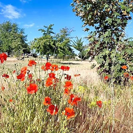 B&B Le Clos Champetre