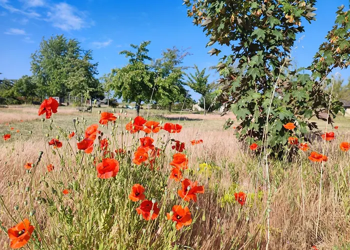 Le Clos Champetre Longué