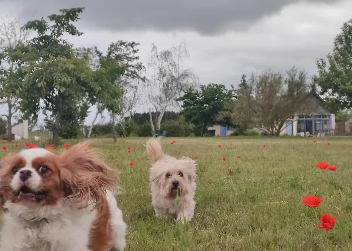 Le Clos Champetre Longue