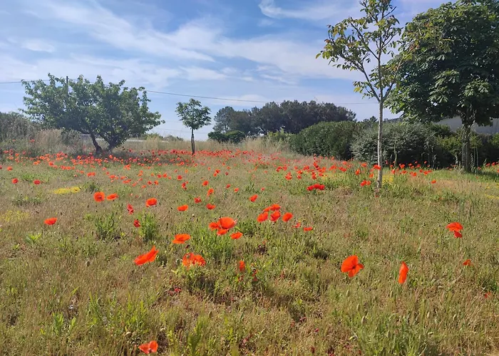 Alojamento de Acomodação e Pequeno-almoço Le Clos Champetre Longue