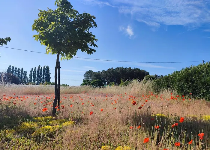 Le Clos Champetre Longué